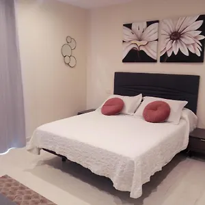  Appartement Apartamento Vistas Paraiso - Club Paraiso